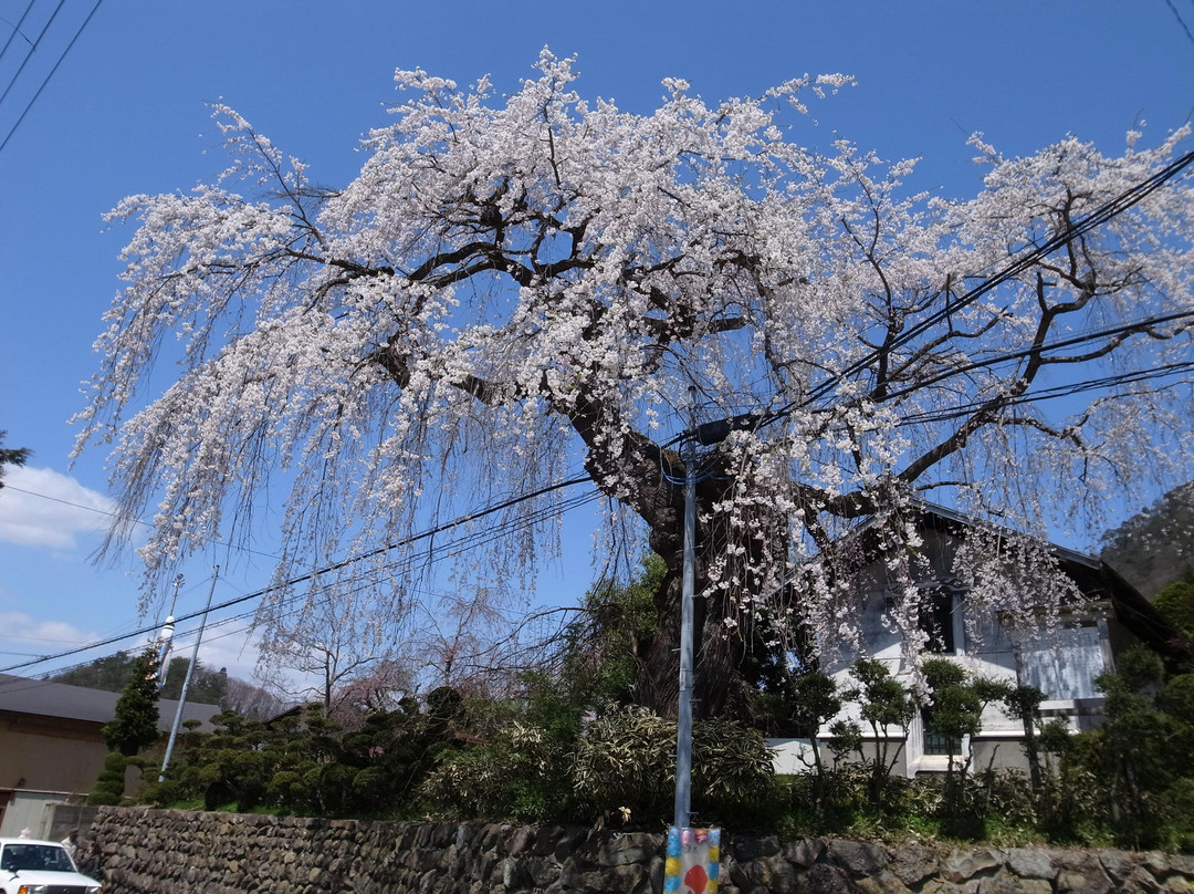 Heisenji Temple-山形市必去景点