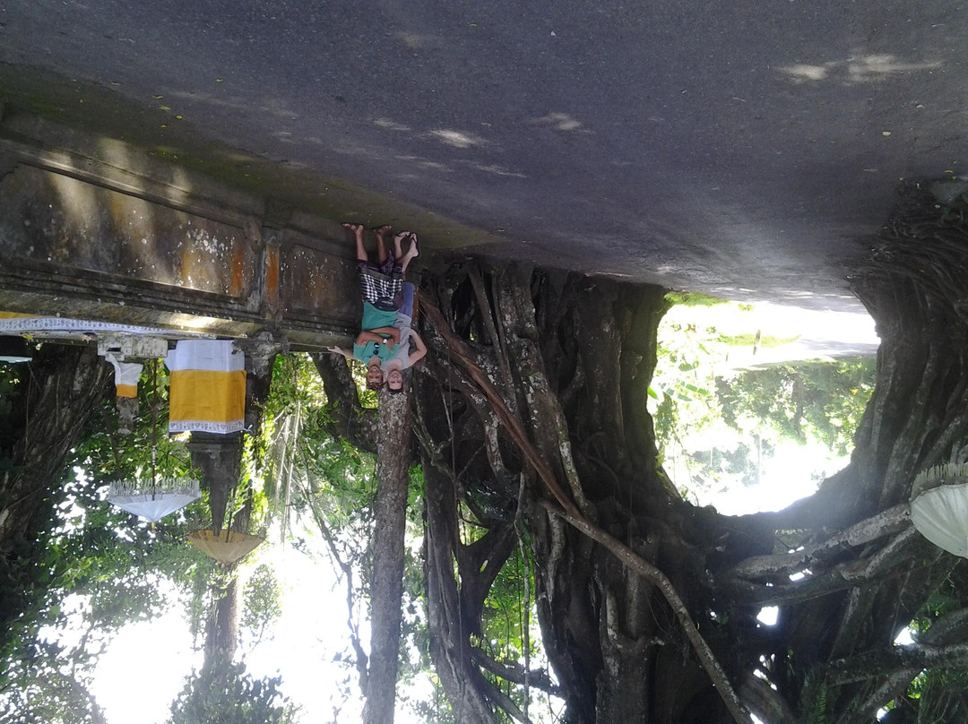 Bali Private Tour Id景点图片