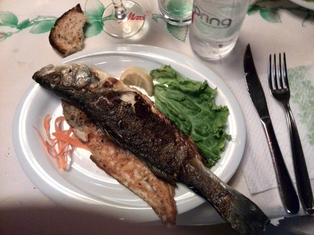 Shkallnur餐馆和美食-fast-food TIRONA