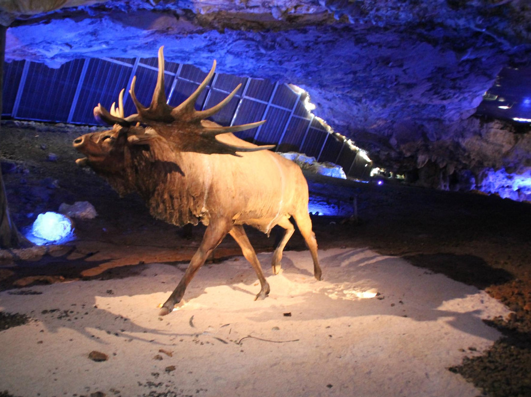 Cueva de La Peruyal景点图片