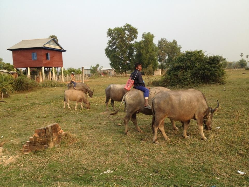 David Angkor Guide - Private Tours-暹粒必去景点
