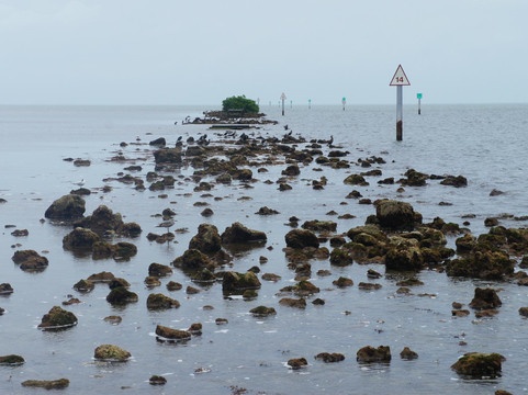 Biscayne National Park Institute-霍姆斯特德必去景点