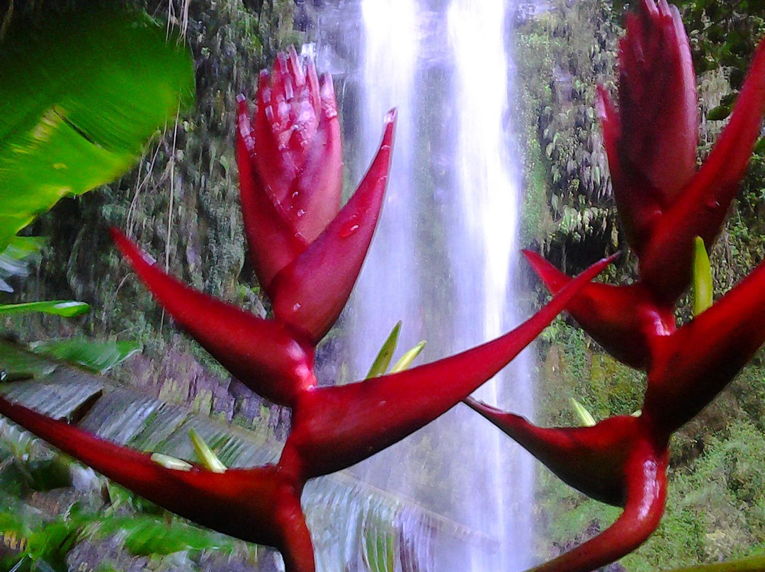 Bajo Mono Camping Site Cascada El Tatica景点图片
