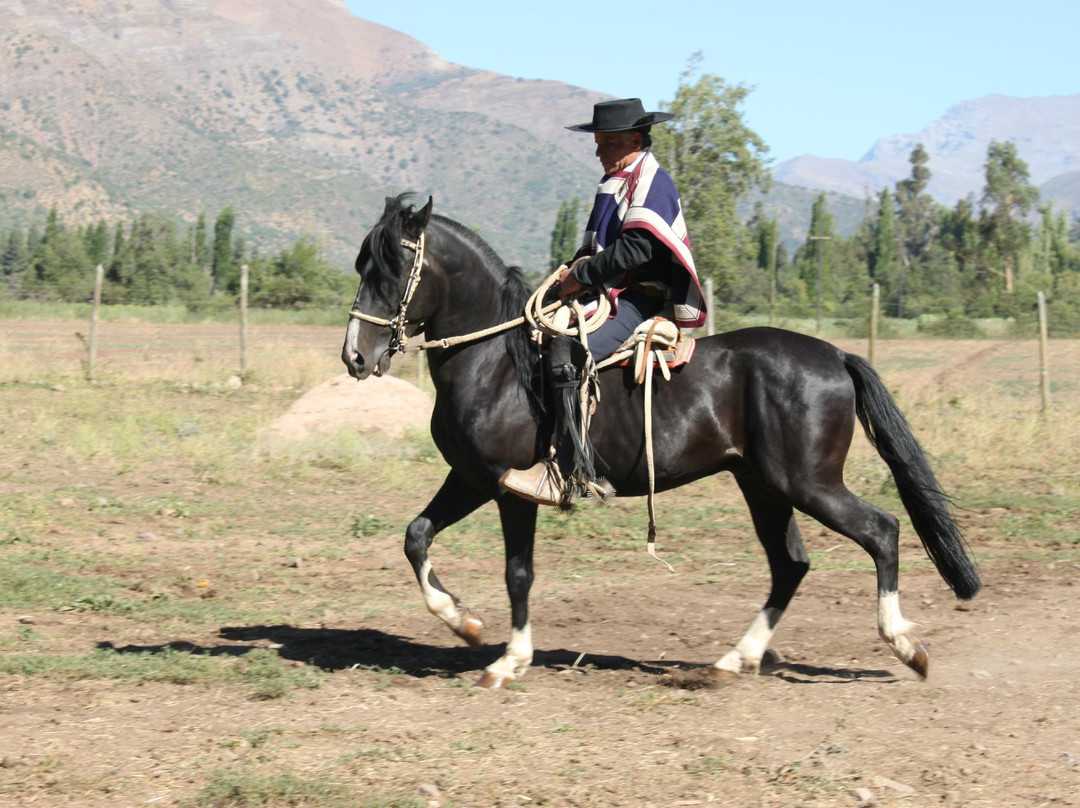 Horse Riding Chile-圣地亚哥必去景点