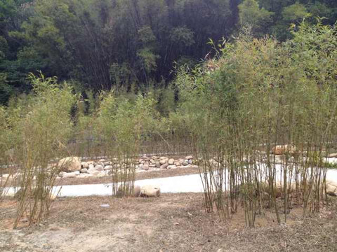 火炉山森林公园-广州市必去景点