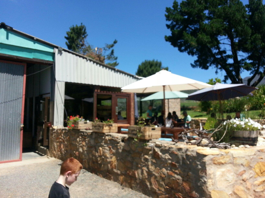 Herold Wine Estate-乔治必去景点