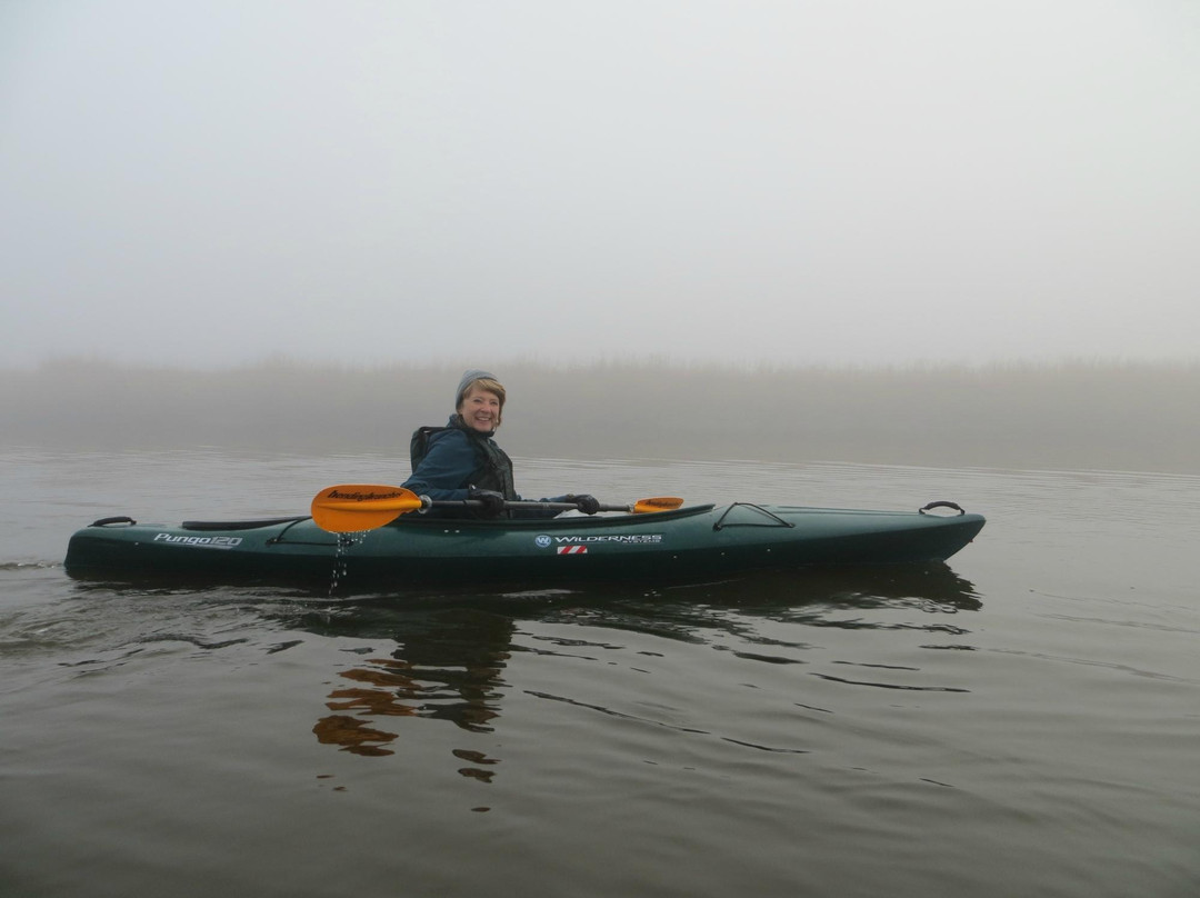 Blackwater Adventures-坎布里奇必去景点