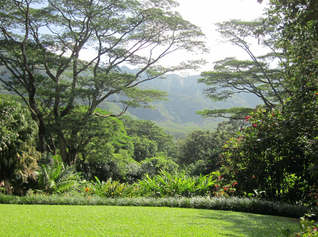 哈罗德树木园-火奴鲁鲁必去景点
