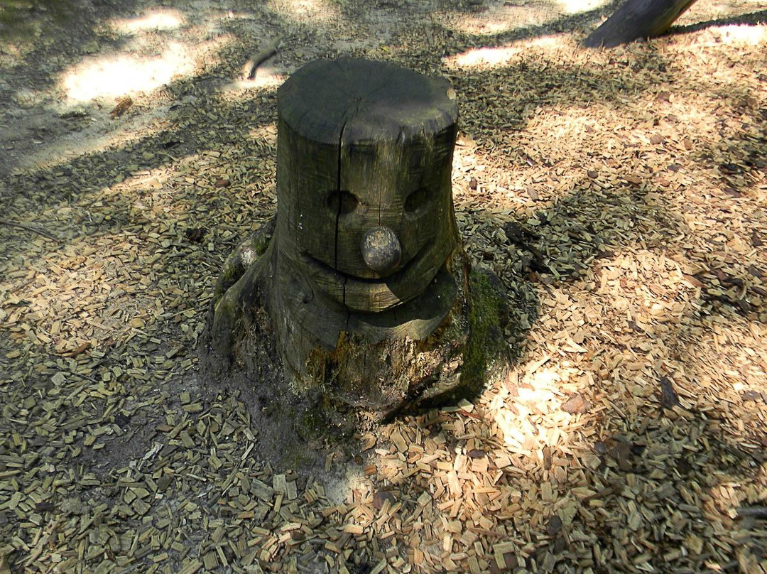 Marchenwald-Burgschwalbach必去景点