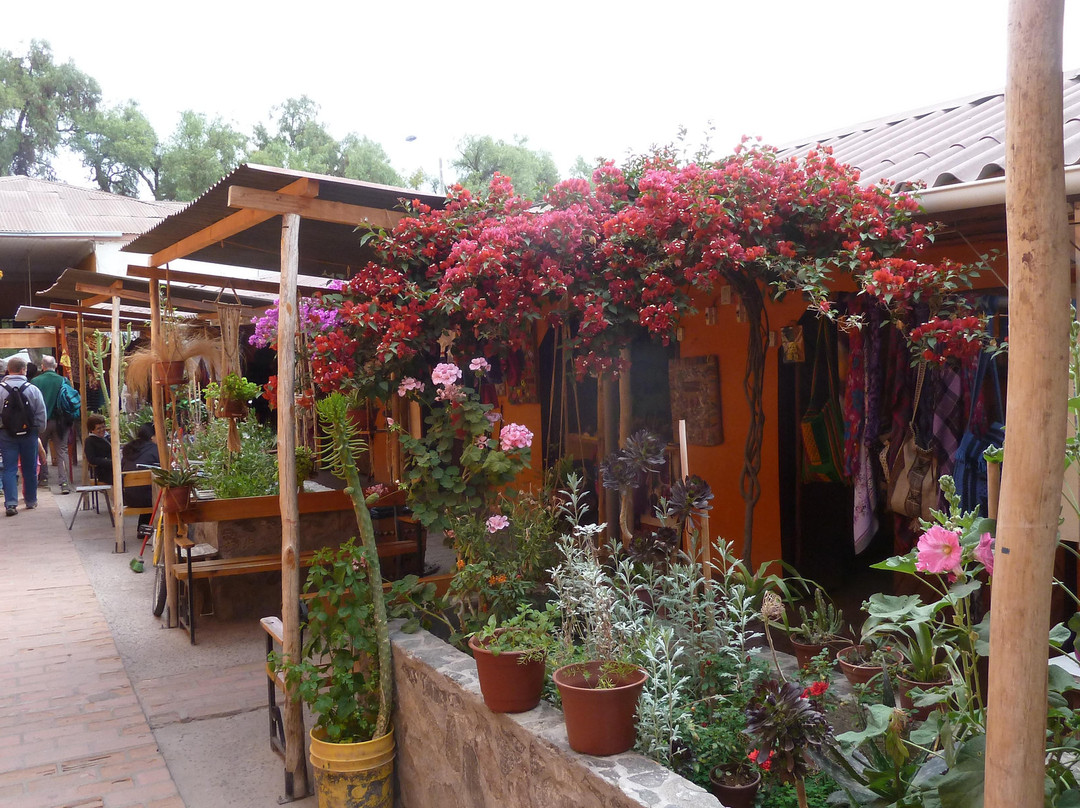 Pueblo de Artesanos de Vicuña景点图片