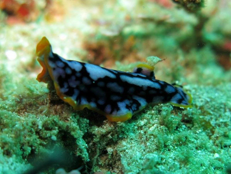 Discovery Divers Lombok-Kuta必去景点