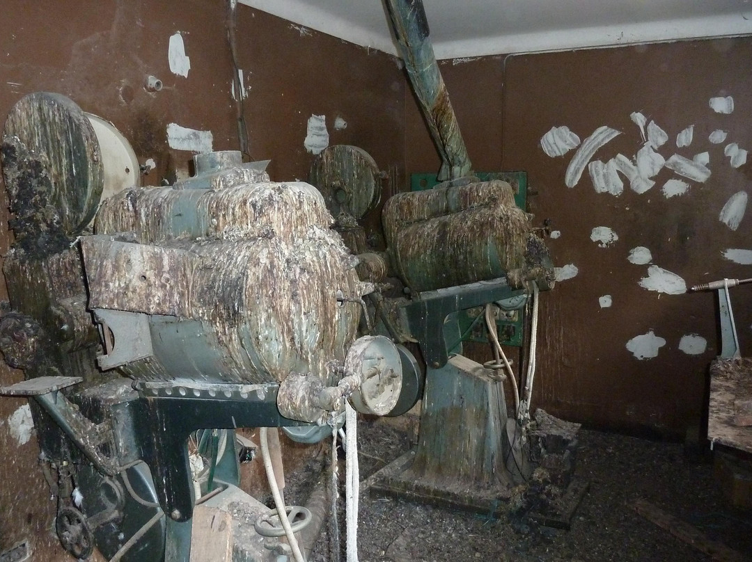 Teatro Municipal-Vicuna必去景点