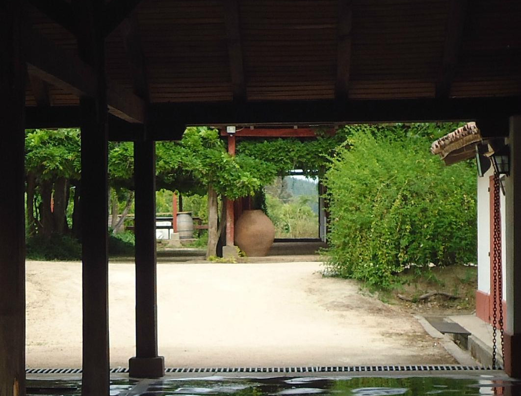 Erasmo-San Javier必去景点