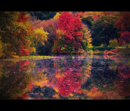 Van Cortlandt Golf Course-纽约州必去景点