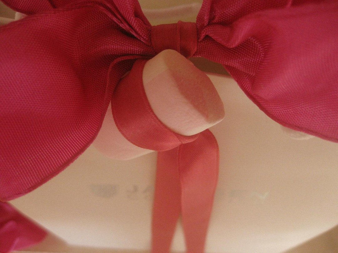 Coko Professional Beauty-诺瓦拉必去景点