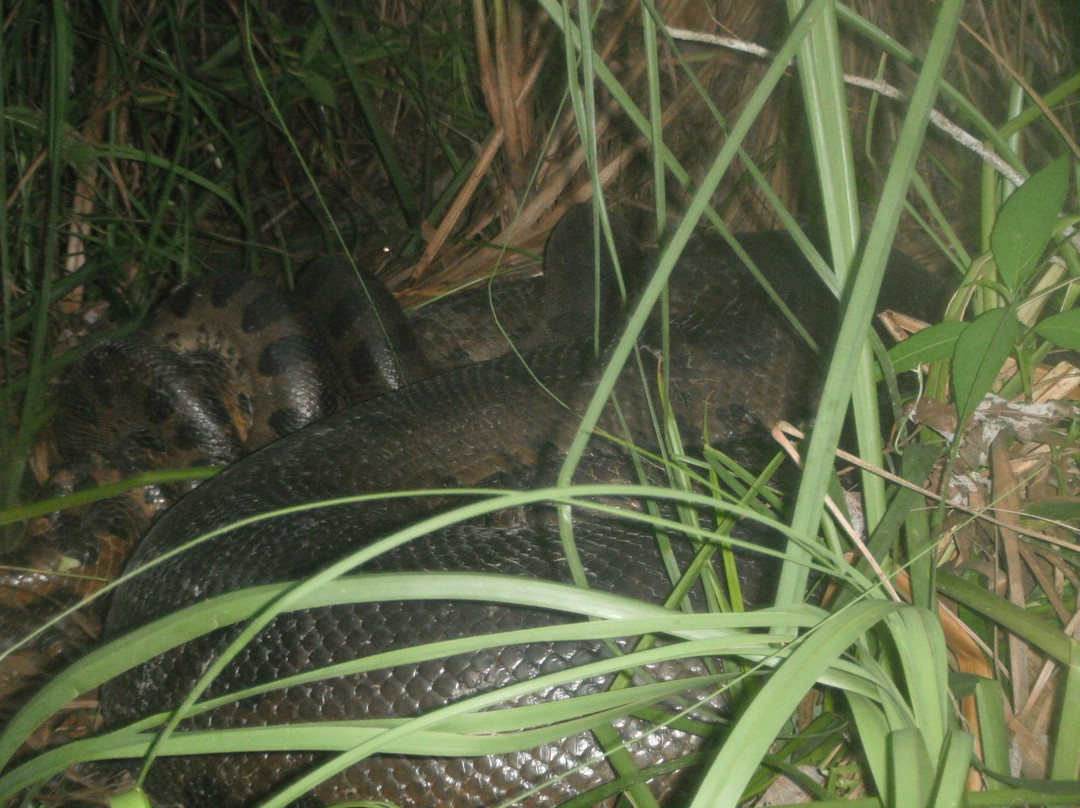 Rio Formoso-博尼图必去景点