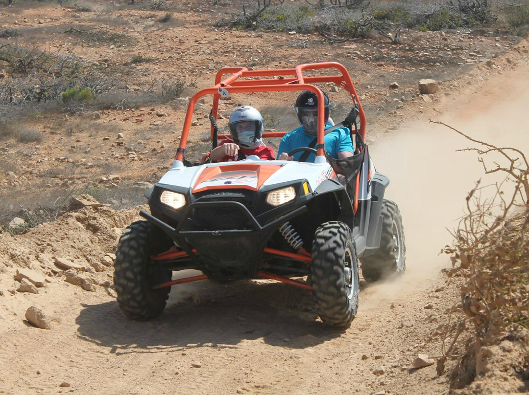 Cactus Tours-卡波圣卢卡斯必去景点