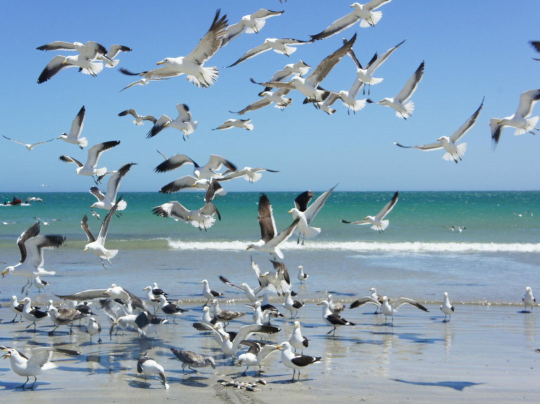 Barra Beach-伊尼扬巴内省必去景点