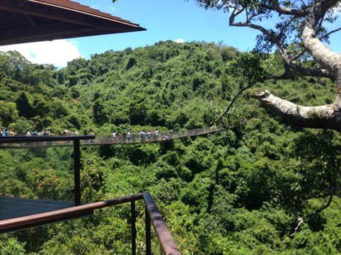 三亚亚龙湾人间天堂-鸟巢度假村主图