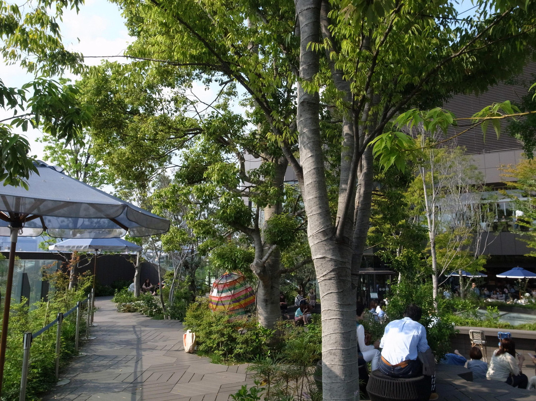 东急广场表参道店-涩谷区必去景点