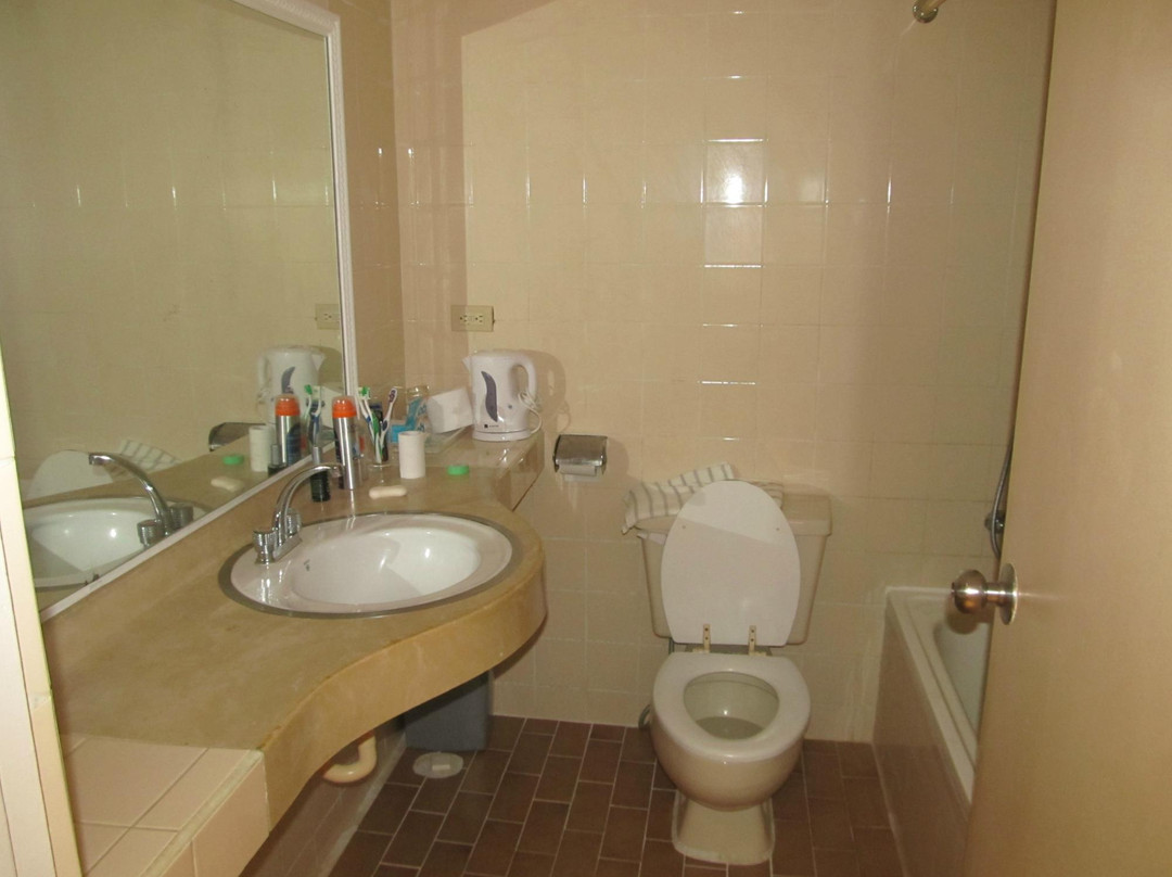 太阳宫殿酒店主图