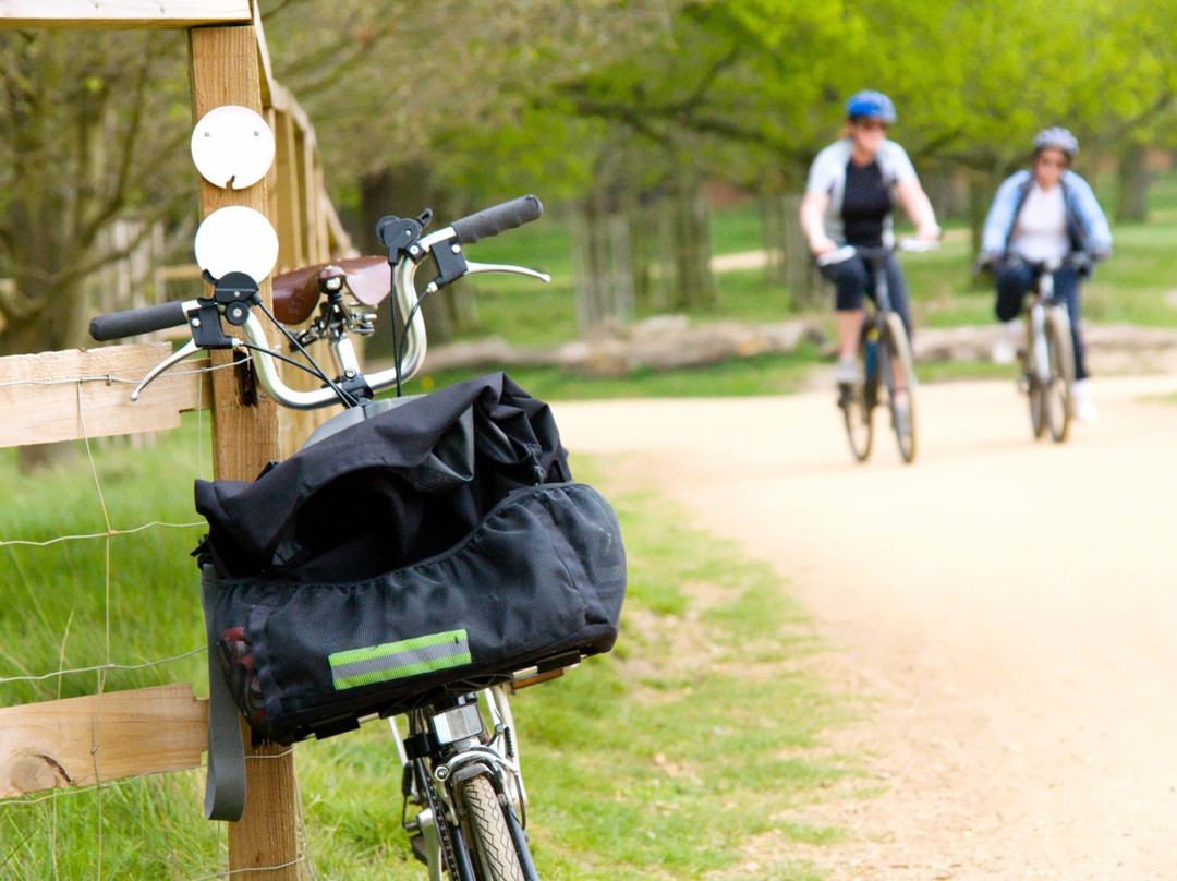 London Incognito ltd-伦敦必去景点