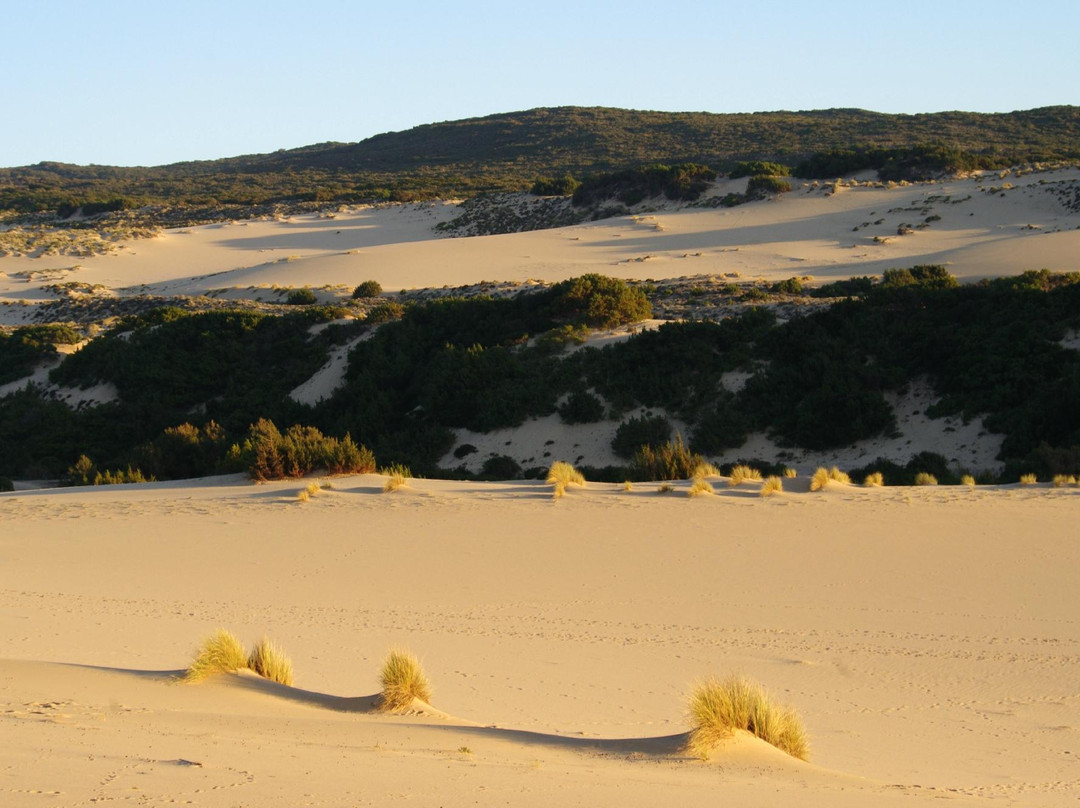 Spiaggia Le Dune di Piscinas-阿尔布斯必去景点