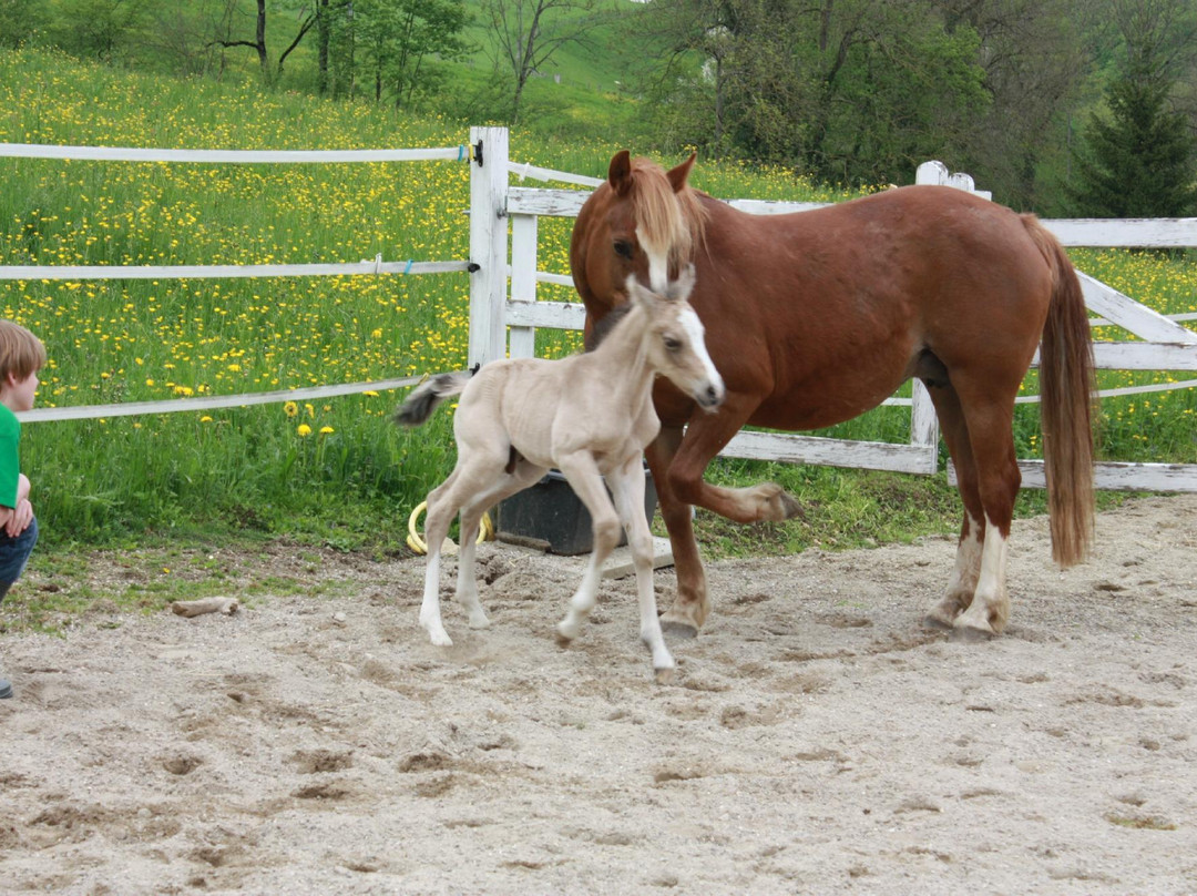 Guesthouse Bad Kilchberg主图