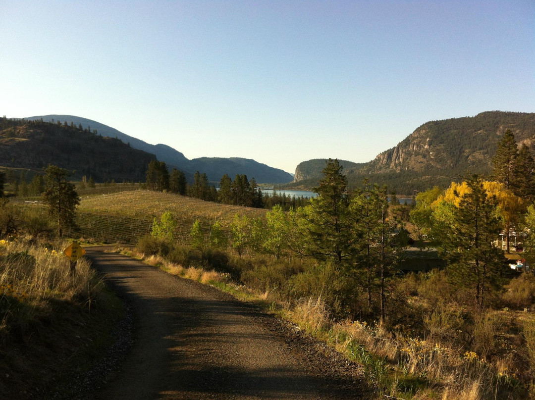 Bighorn Ridge Guest House主图