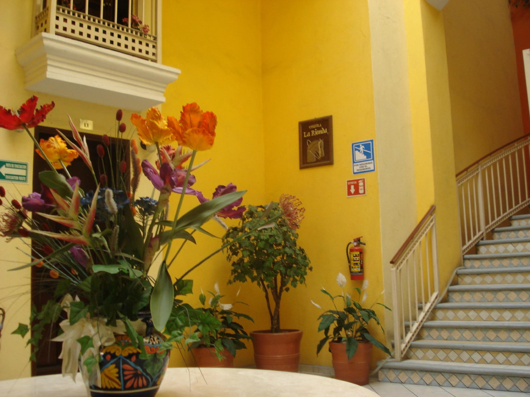 特基拉酒店住宿-Plaza Jardin