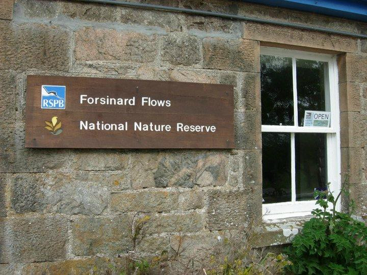 Forsinard Flows Visitor centre-Forsinard必去景点