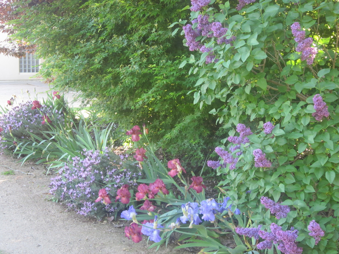 Cottonwoods Accommodation主图