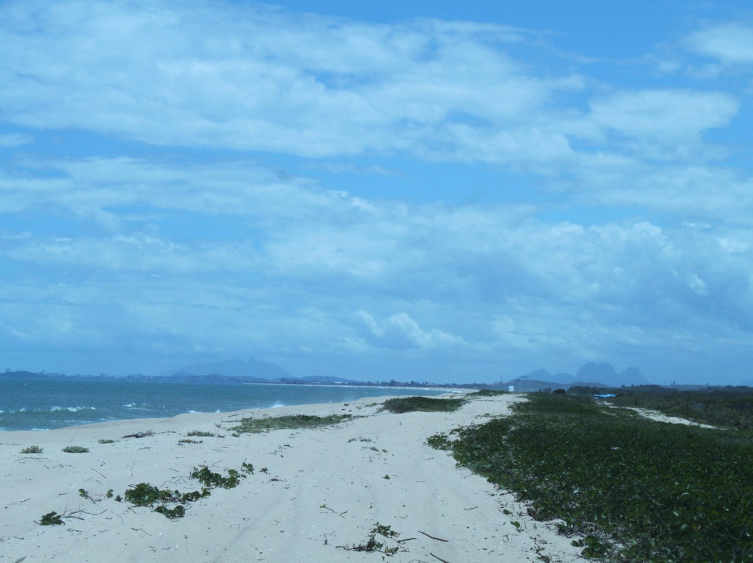 Nacional Park of Restinga de Jurubatiba景点图片