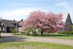 Lagetorps B&B