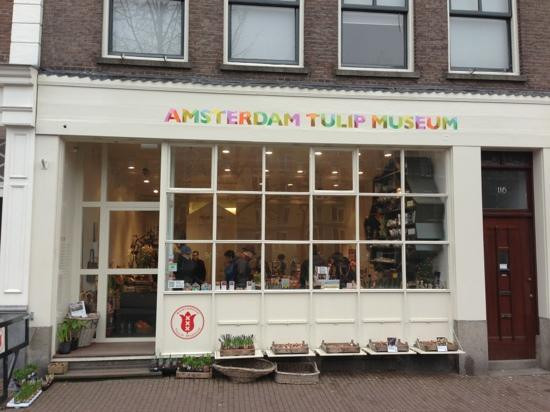 阿姆斯特丹郁金香博物馆-阿姆斯特丹必去景点