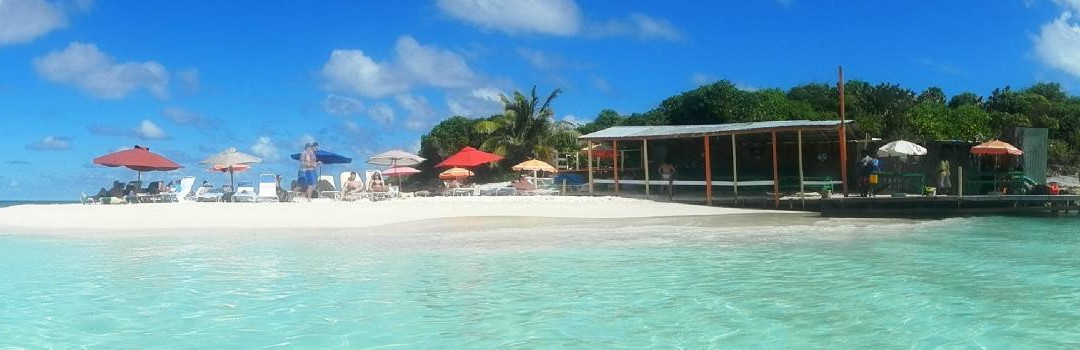 Miguel's Holiday Adventure-圣 约翰必去景点