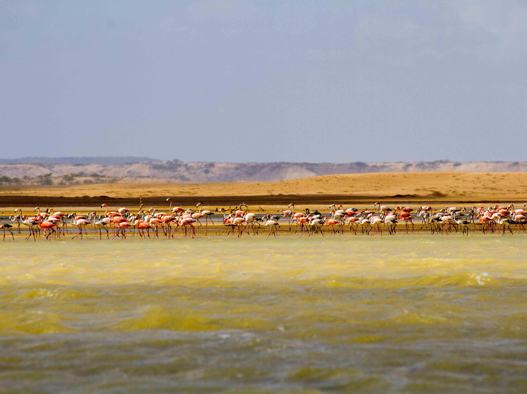 Punta Gallinas-Uribia必去景点