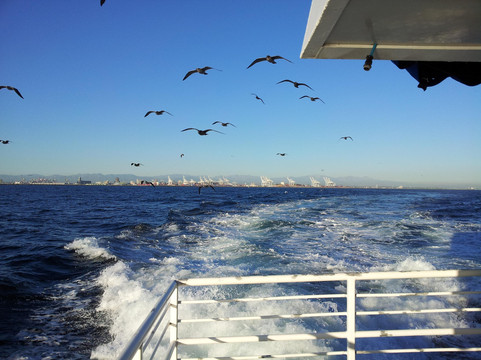 花儿小教堂-拉斯维加斯必去景点