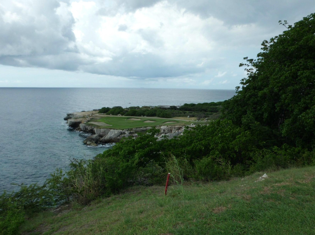 Blue Bay Golf Course-库拉索必去景点