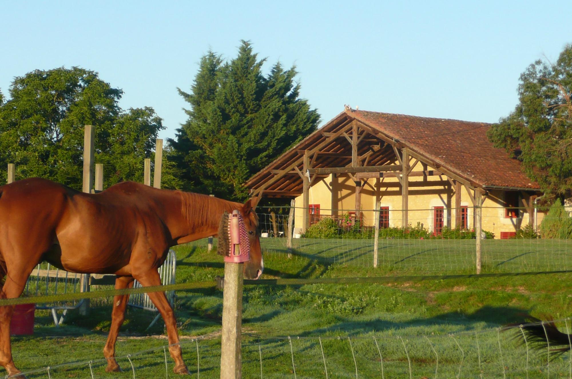 La Ferme De Pinchaou-客卧