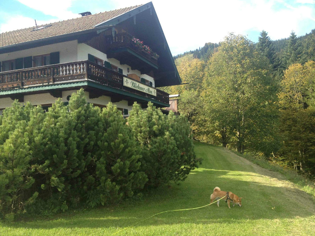 Almgasthof Blickner Alm