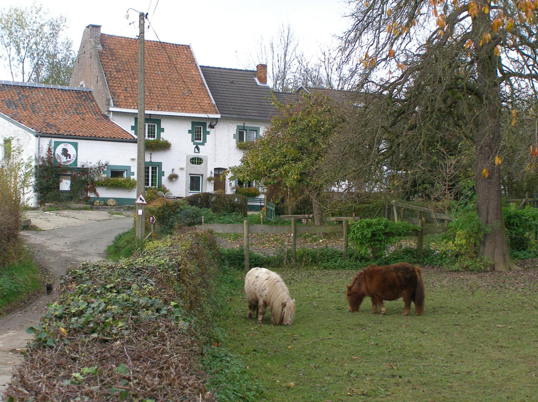 De Shetlandhoeve B&B