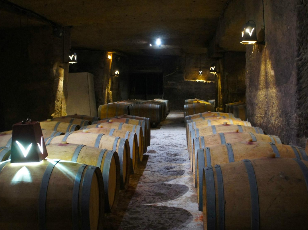 Chateau Villemaurine景点图片