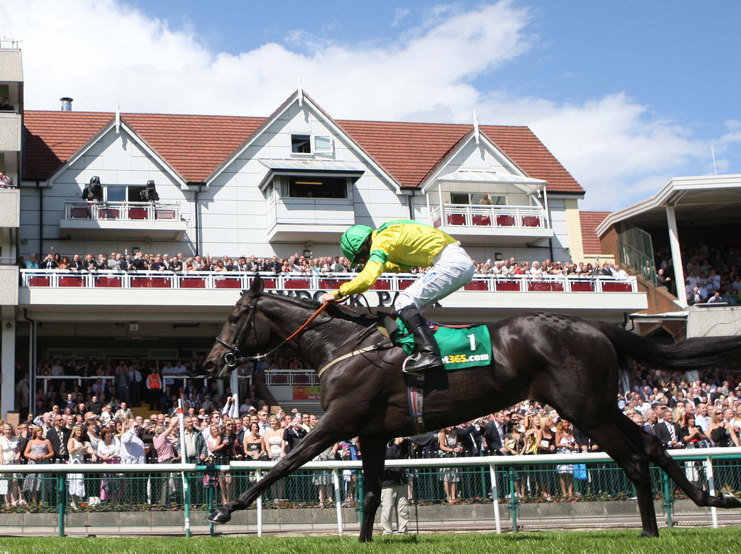 Haydock Park Racecourse景点图片