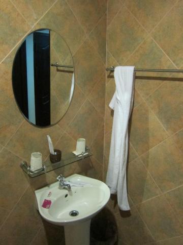 恒生天鹅大酒店-浴室