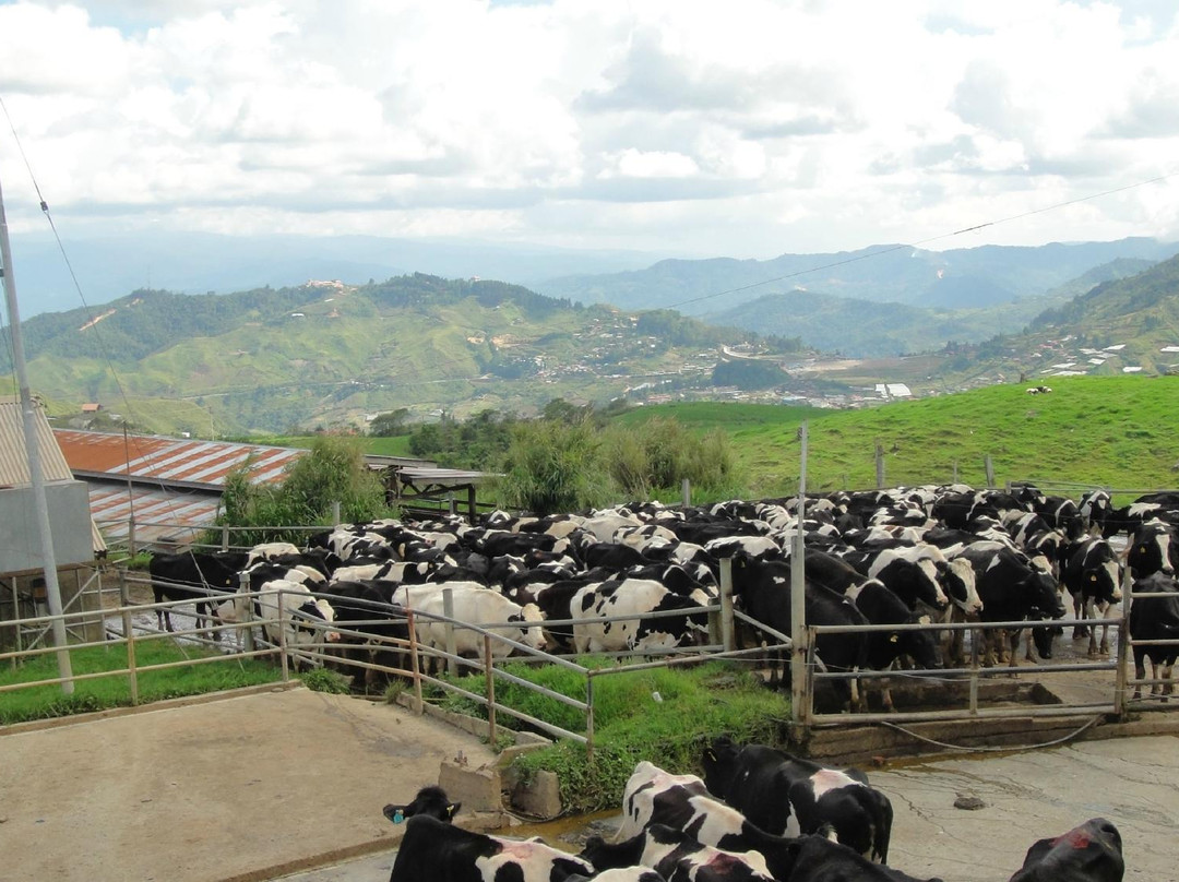 牛场-昆达山必去景点