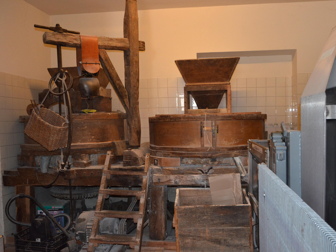 Museo Frantoio Panizzi-Badalucco必去景点
