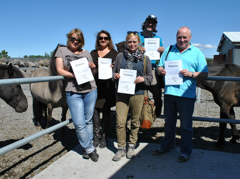 Reykjavik Riding-雷克雅未克必去景点