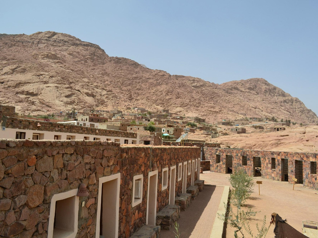 Al Tur酒店住宿-Bedouin Camp