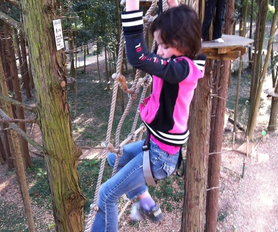 Forest Adventure Ohira-栃木市必去景点